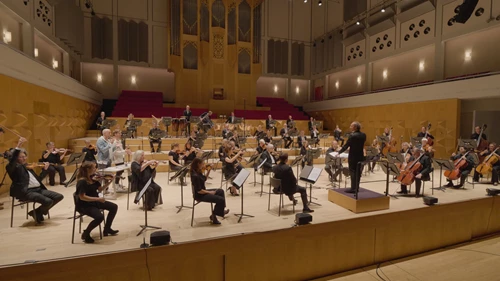 Wat doet een dirigent